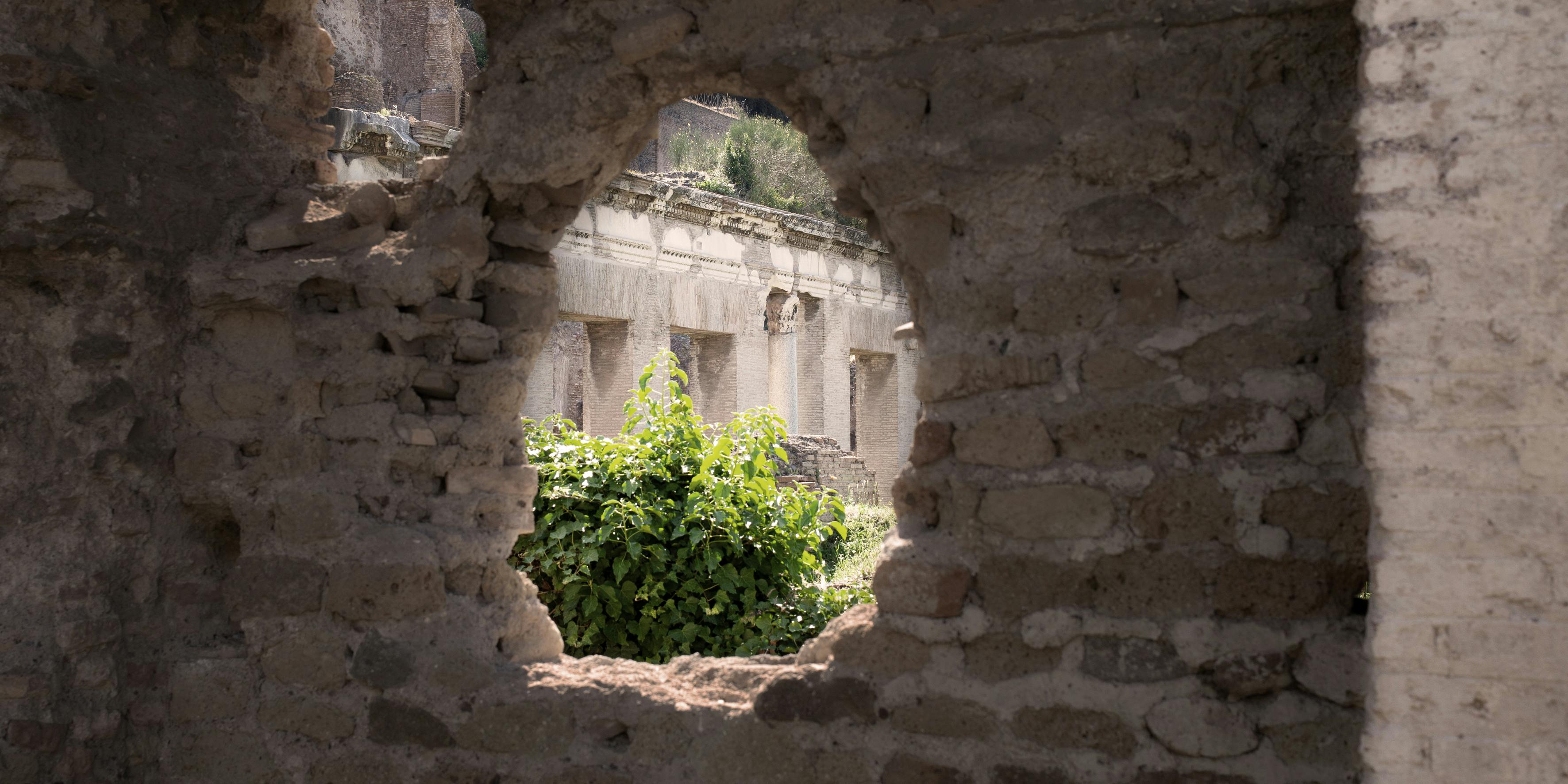 Roma, Parco Archeologico del Colosseo. Dettaglio Roma, Parco Archeologico del Colosseo. Dettaglio