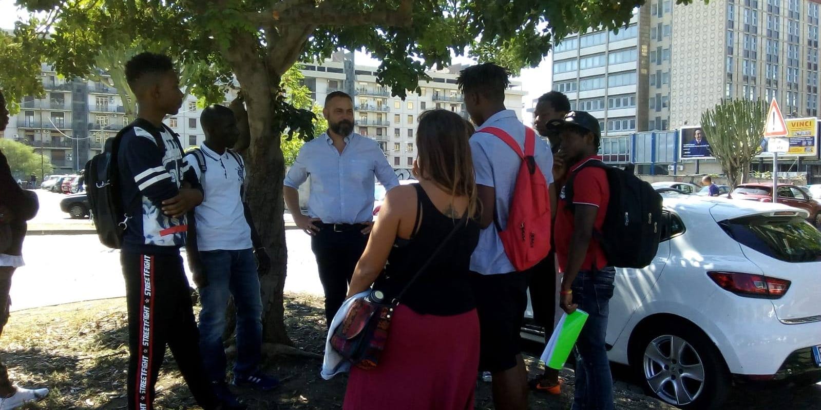 Meeting under a carob tree Under a carob tree, in an urban flowerbed, several people from different backgrounds share memories connected to the carob tree