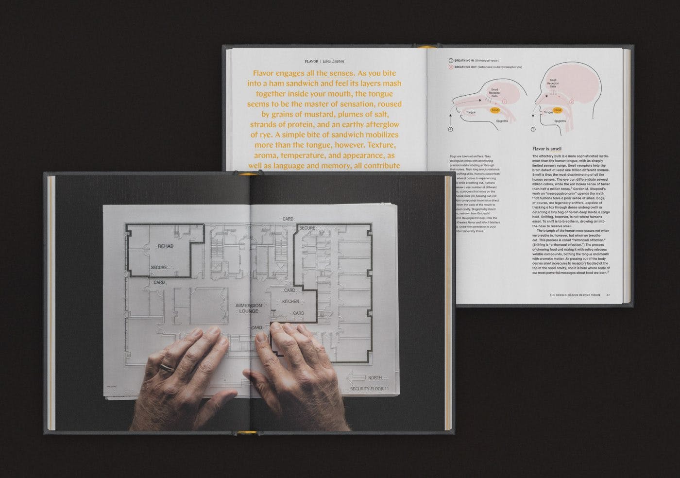 New York, Cooper Hewitt Smithsonian Design Museum. Mostra "The Senses: Design Beyond Vision", curata da  Ellen Lupton & Andrea Lipps, progetto espositivo Studio Joseph.