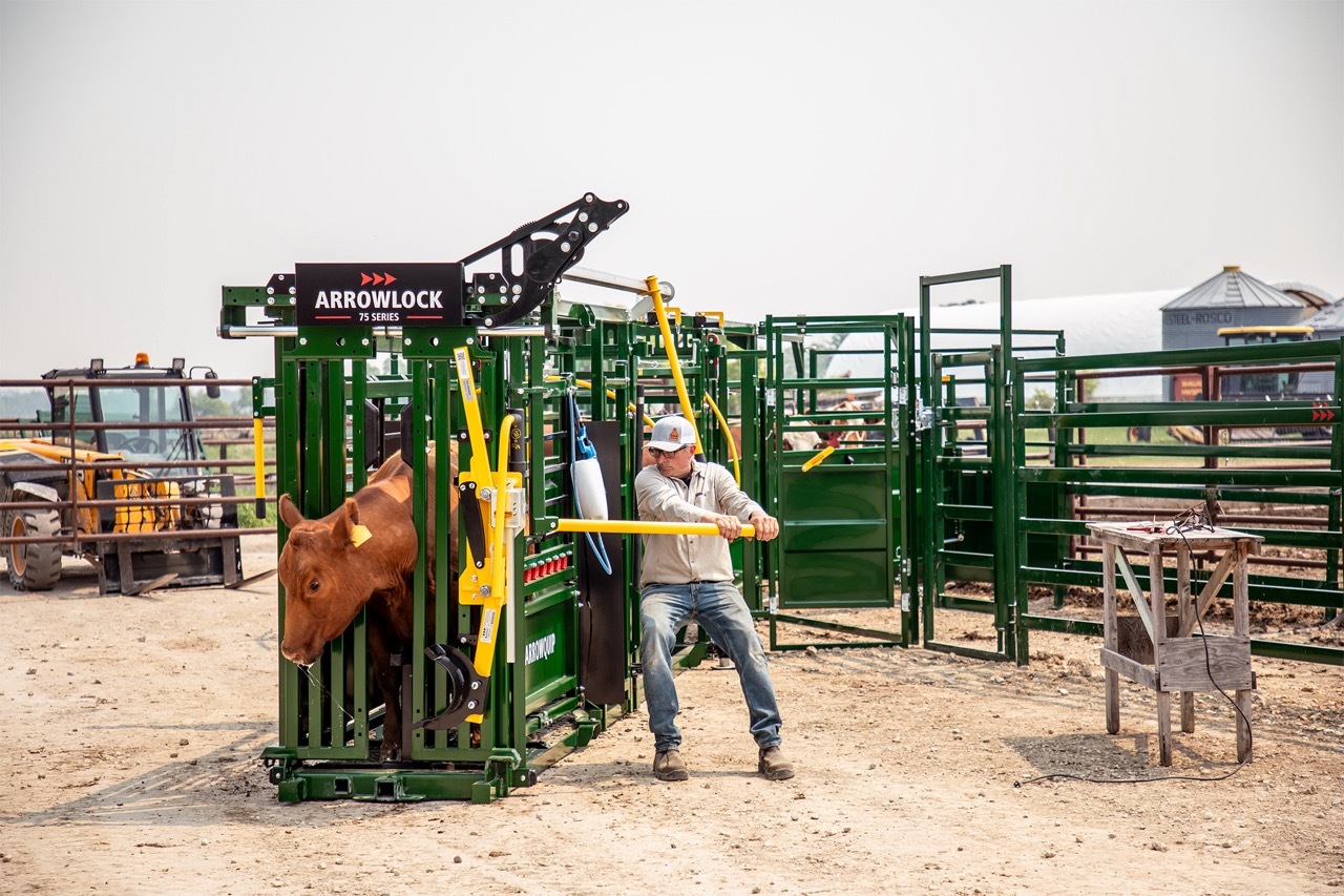 Rancher using the squeeze handle on Arrowlock 75 series squeeze chute with brown cow in head gate