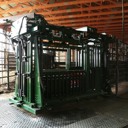 Full side access to cattle with 8 drop-down panels, split bottom doors, and XL palpation cage on The General hydraulic chute