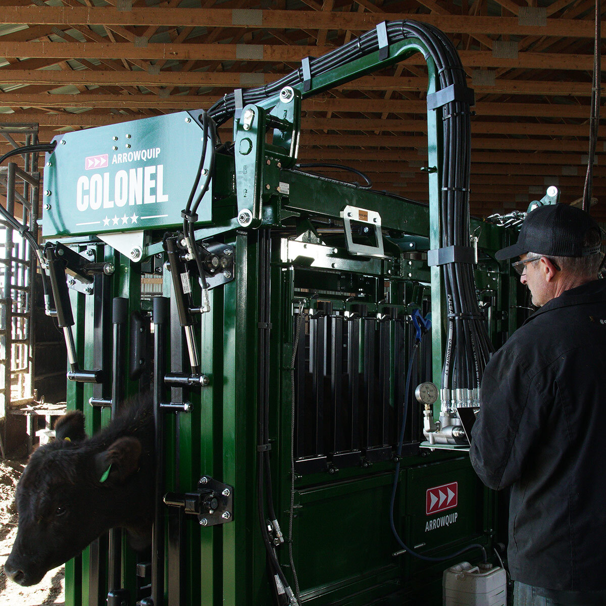 Rancher using hydraulic controls on Colonel heavy-duty feedlot hydraulic chute
