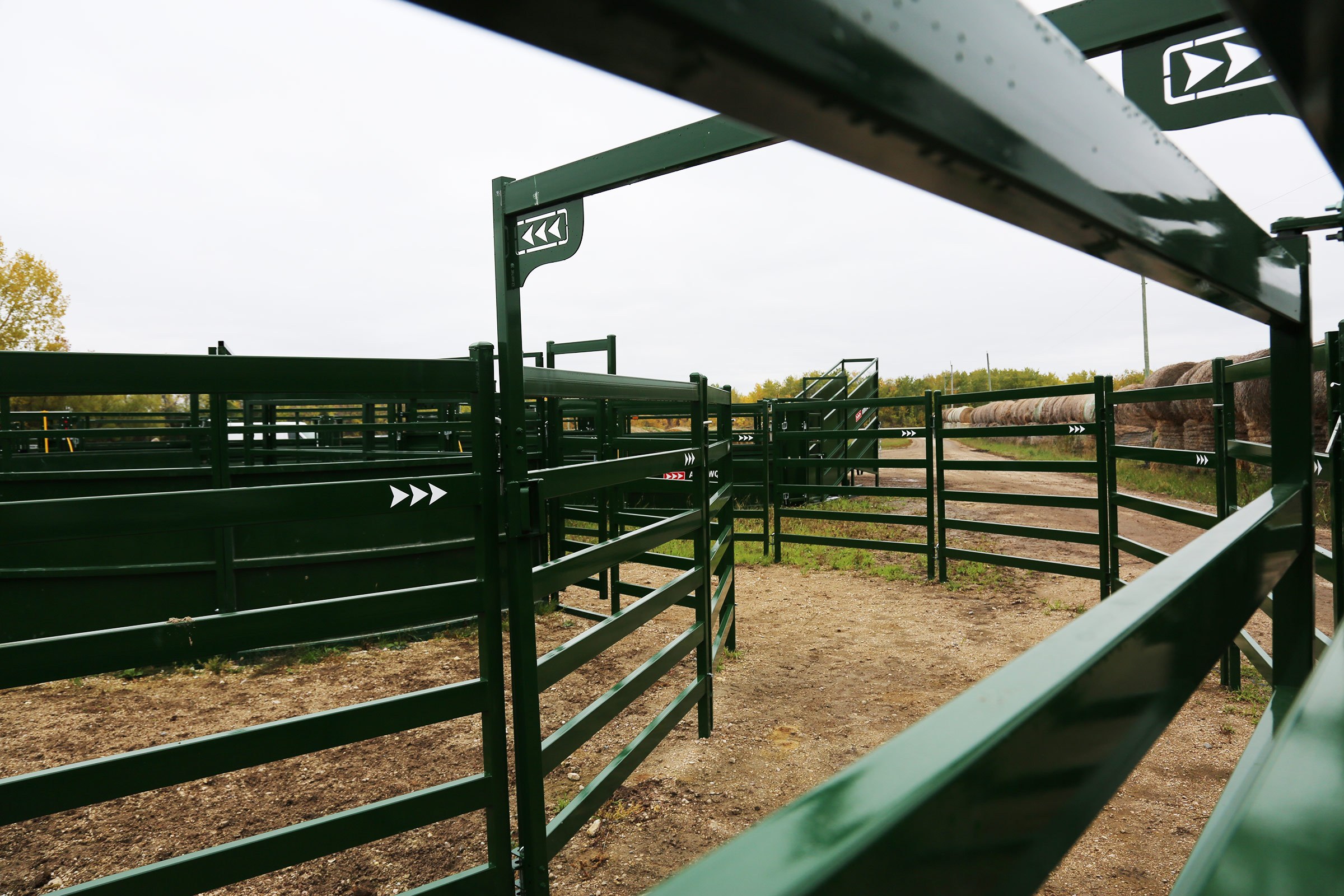 View through high-pressure three inch thick Arrow Cattle Panel rails into open bow alley