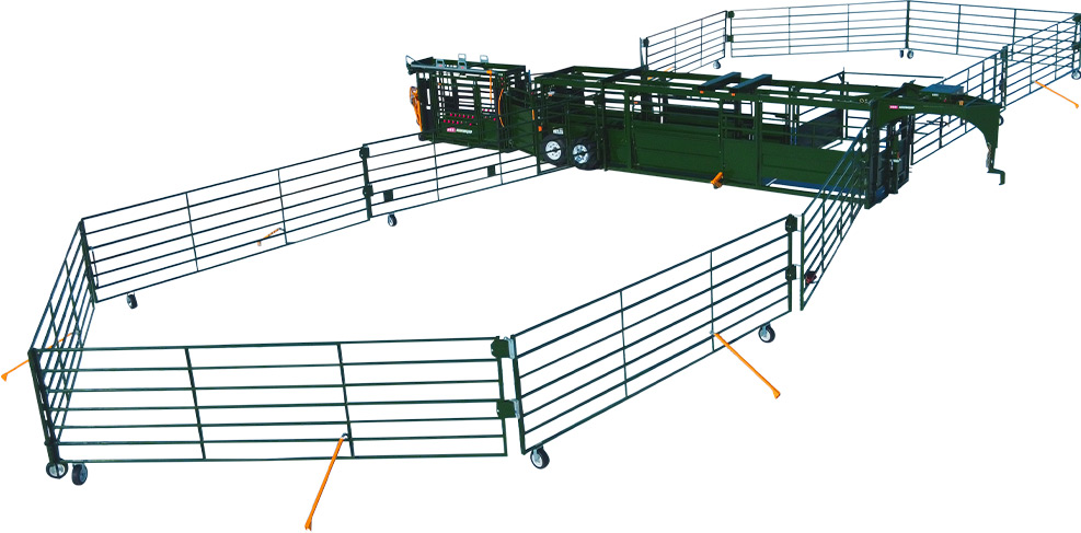 Heeler Portable Corral side angle of the corral and pens set up with double alley merge and Q-Catch cattle chute