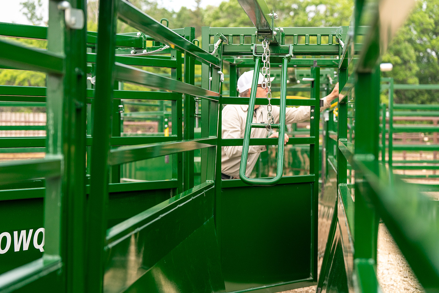 Rancher adjusting latches on sorting alley in the background of Easy Flow Adjustable Alley with alley stop installed