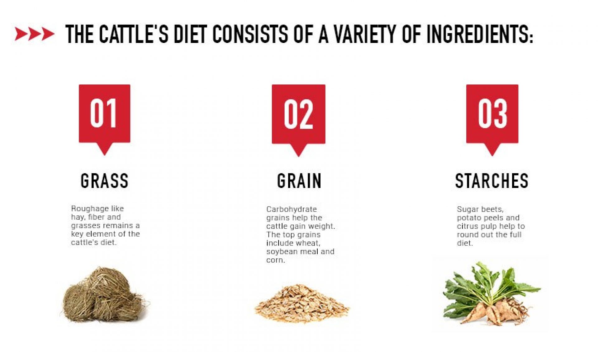 Cattle Diet Components