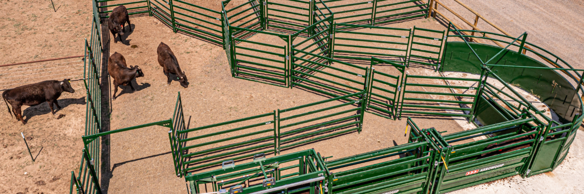 Overhead view of full cattle handling system