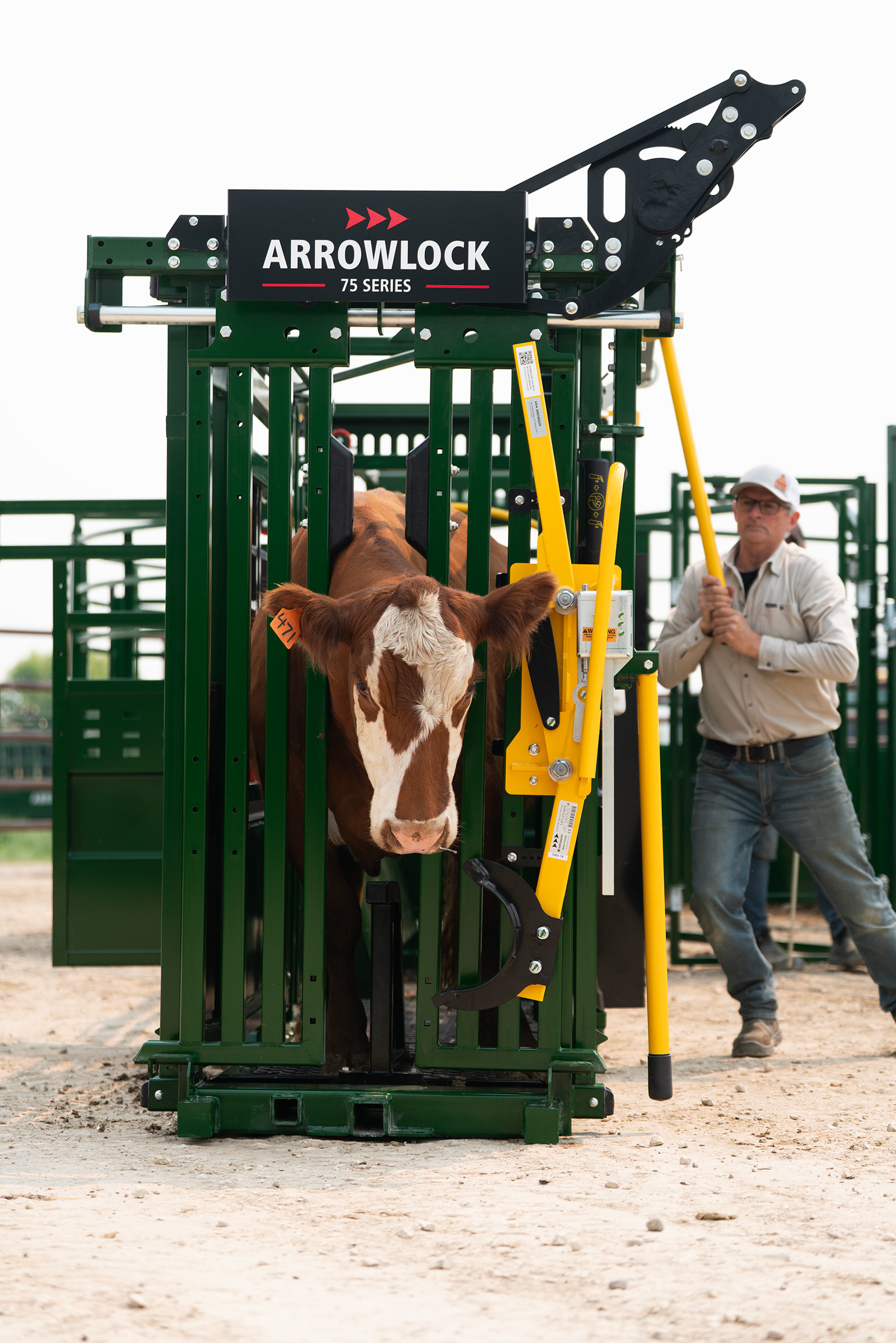 Rancher operating head gate handle of Arrowlock 75 series squeeze chute to catch and secure brown cow