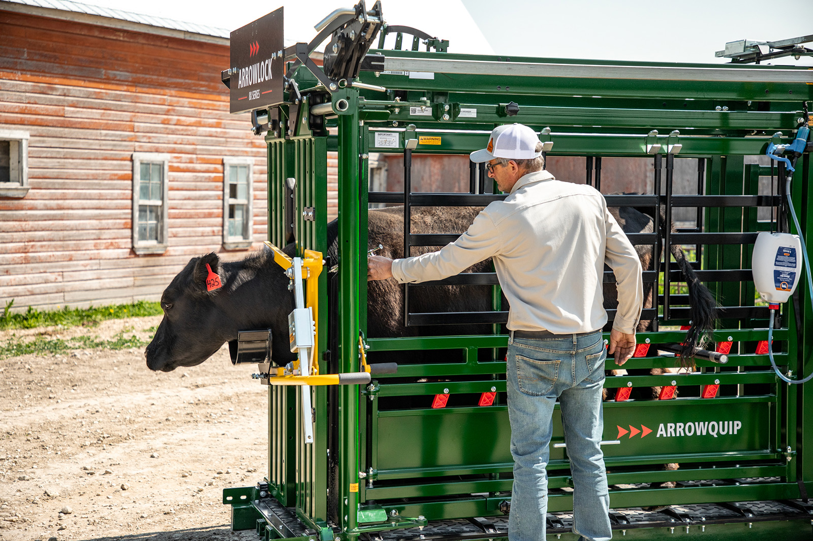 Rancher giving cattle needle with chute side access