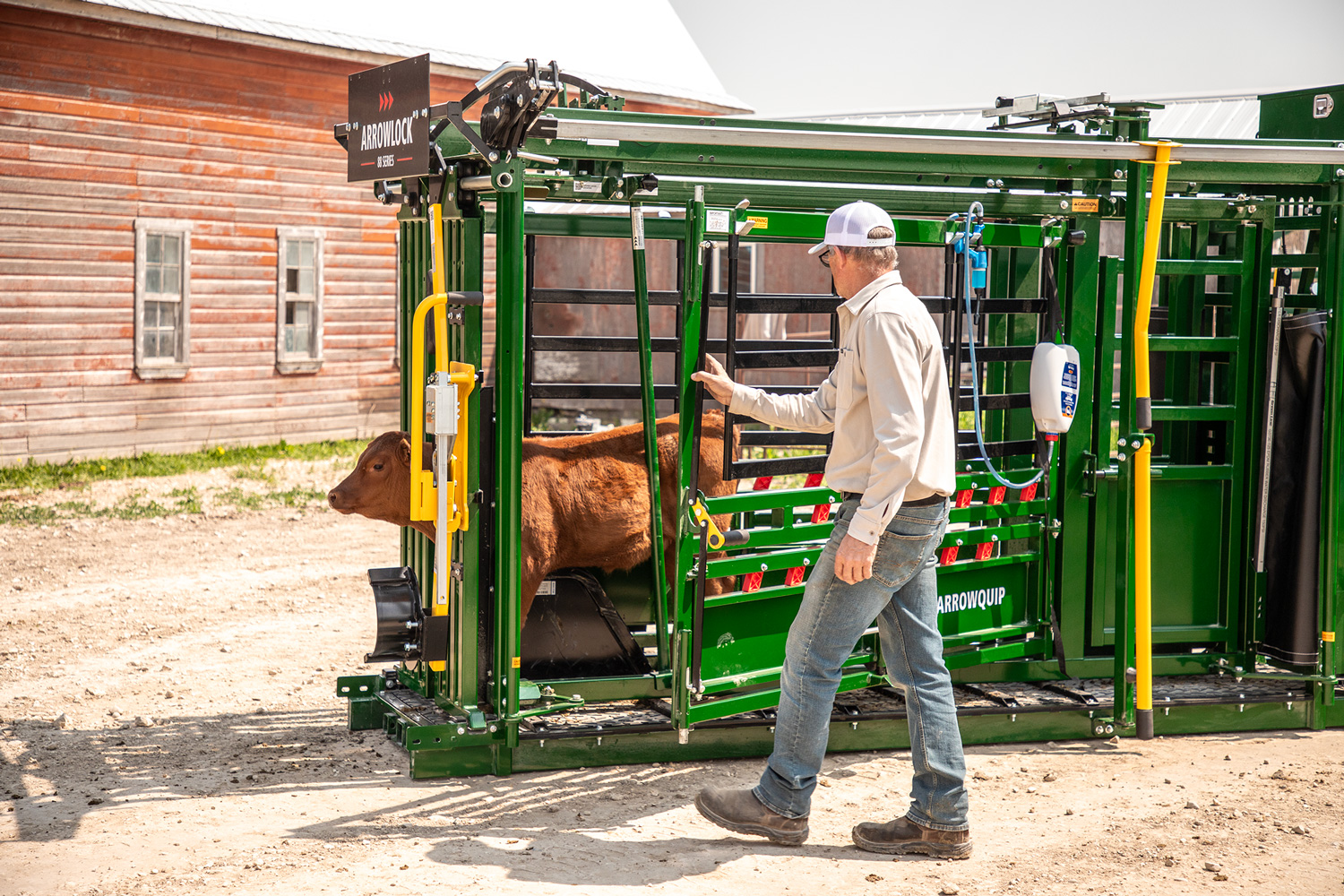 Rancher opening up full access door on Arrowlock 88 cattle chute with brown calf safely contained