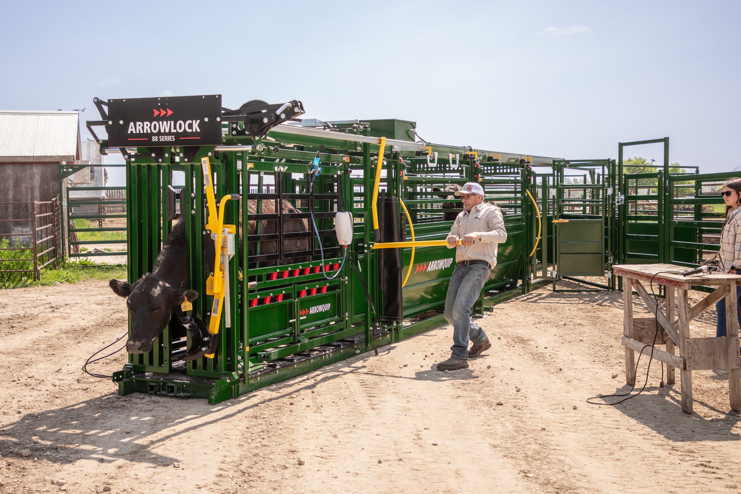 Rancher operating the squeeze on the Arrowlock 88 Series Portable Cattle Chute Alley and Tub