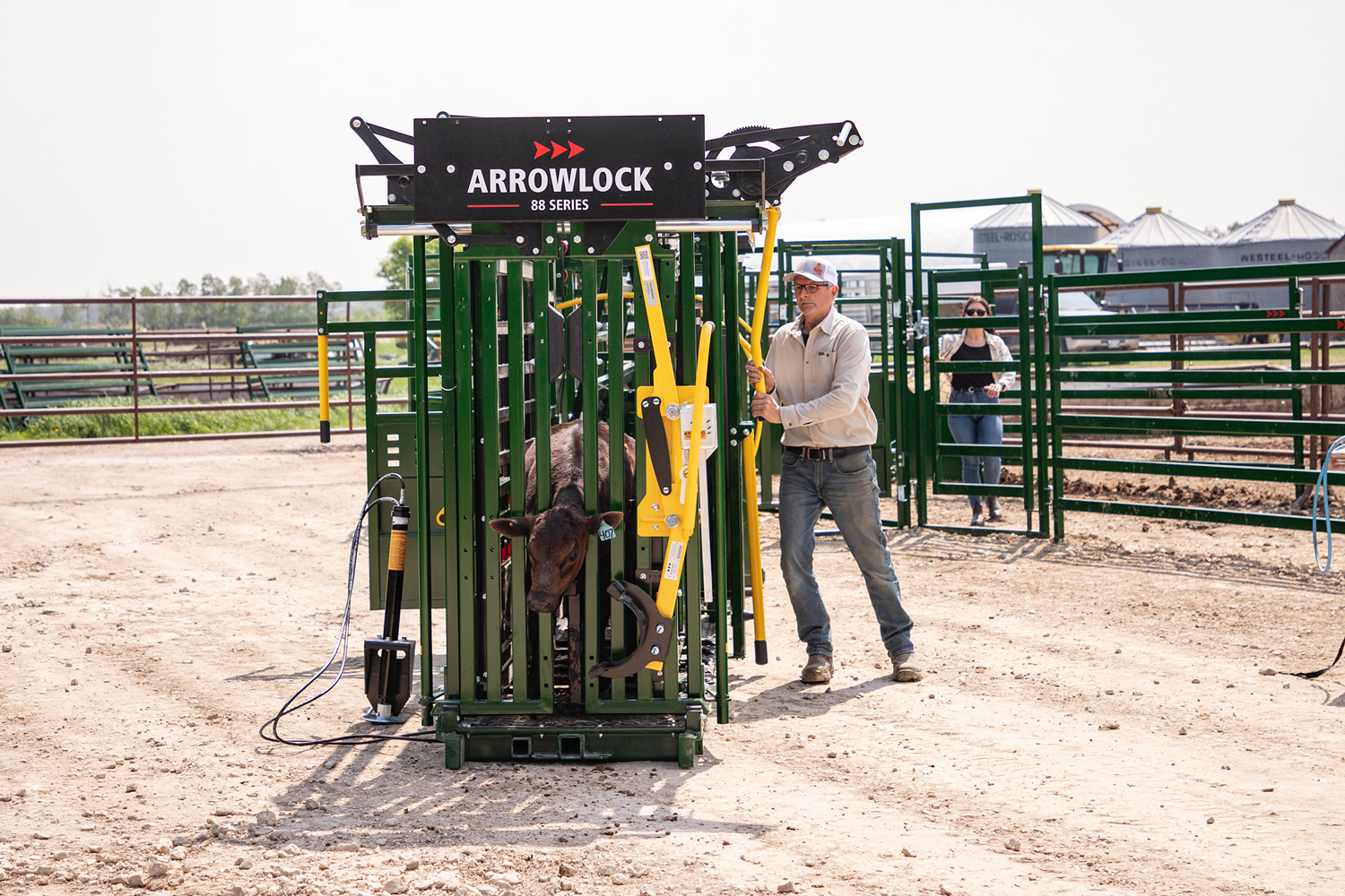 Rancher closing head gate on black calf in Arrowlock 88 series cattle squeeze chute in cattle handling system