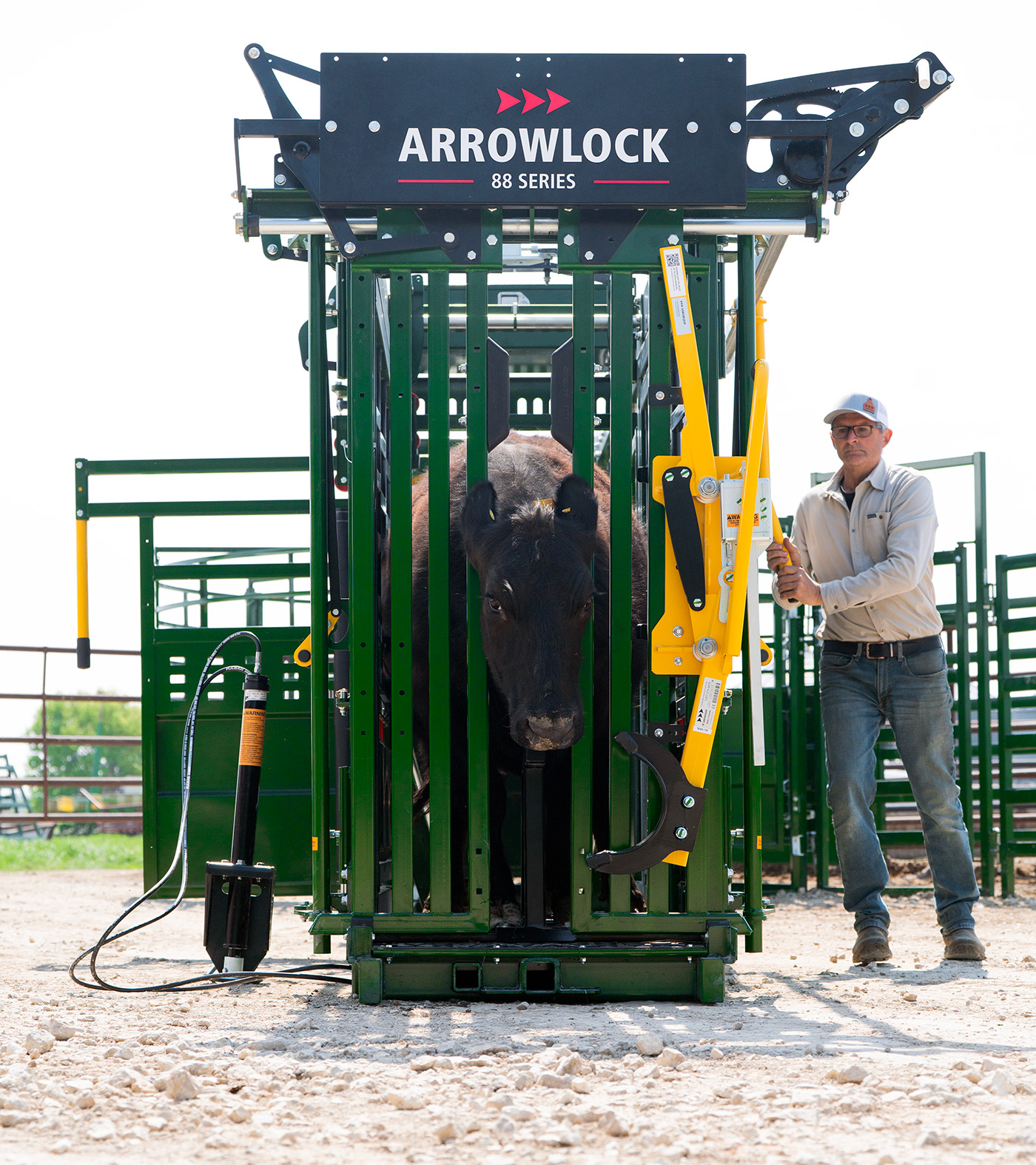 Male rancher squeezing cow in Arrowlock 88 series cattle squeeze chute with black cow in head gate
