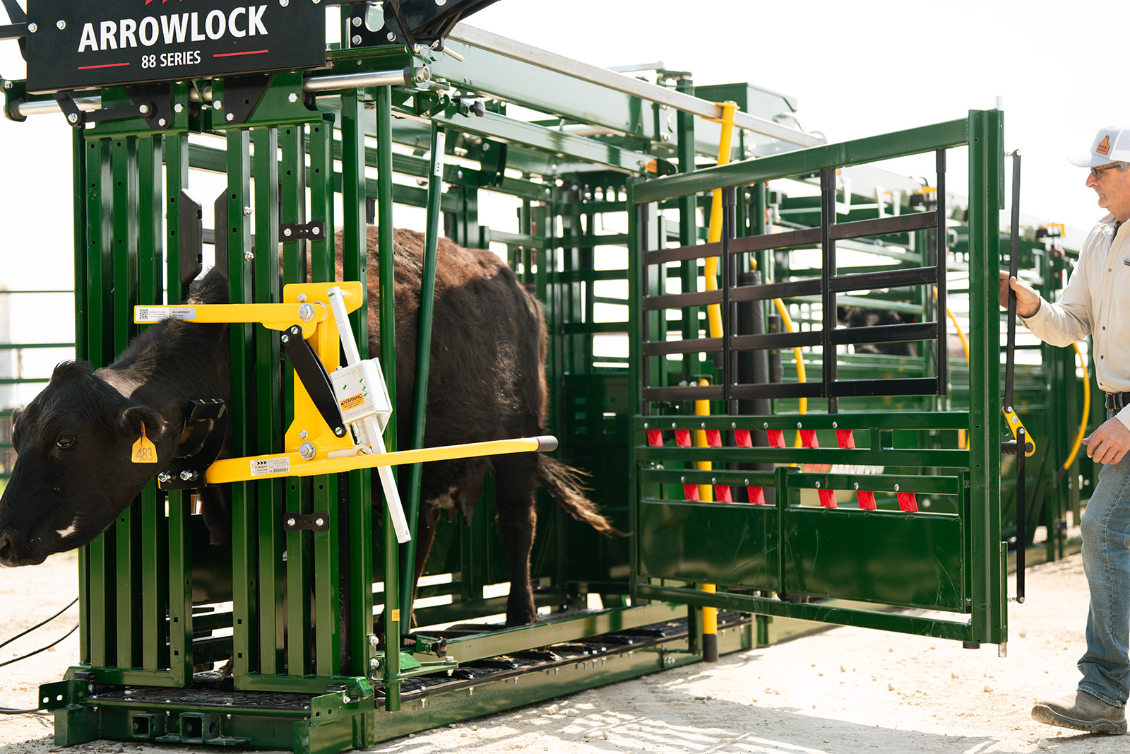 Arrowlock 88 Cattle Chute full emergency exit access open with black cow