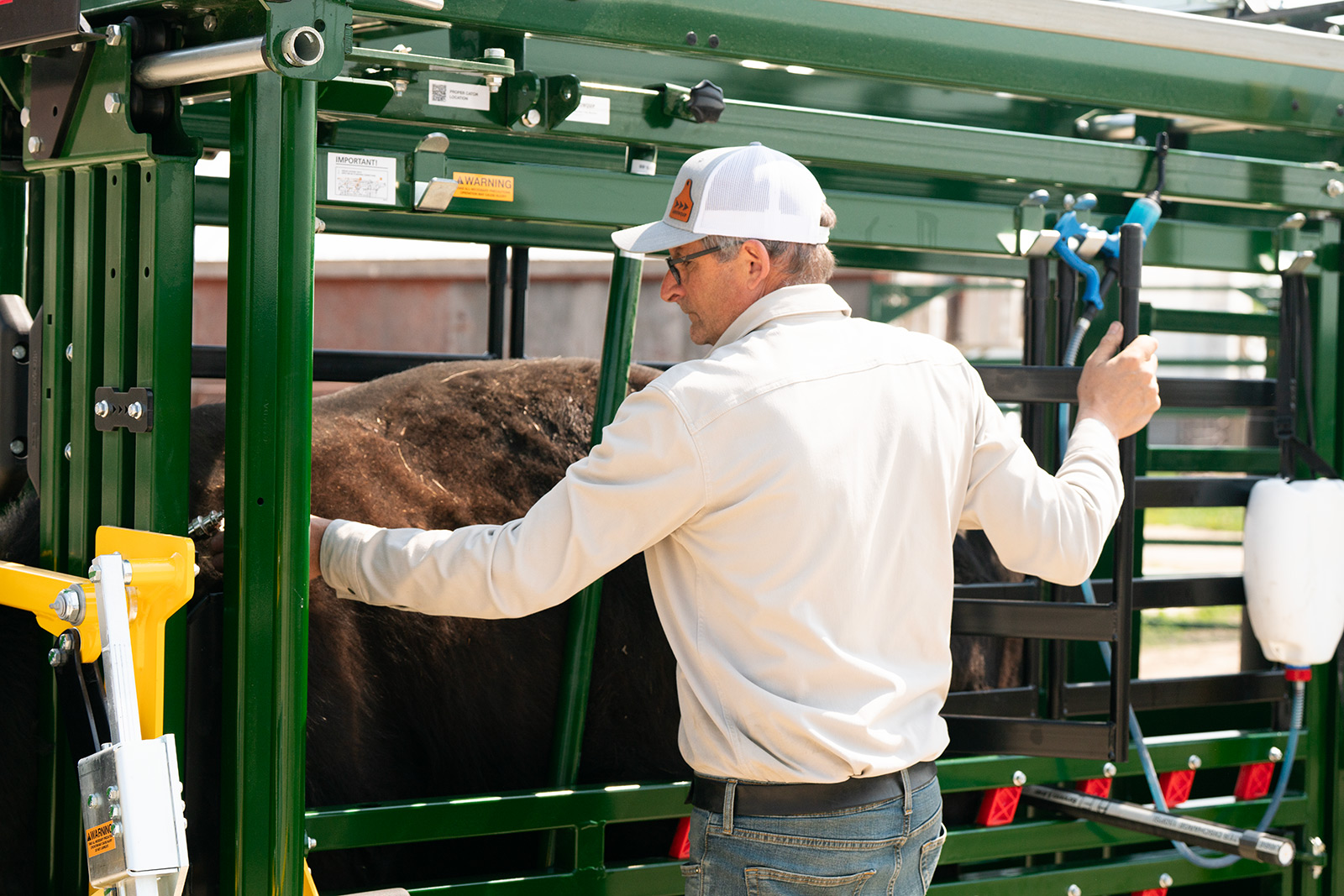 Needle Access with the Arrowlock 88 Cattle Chute
