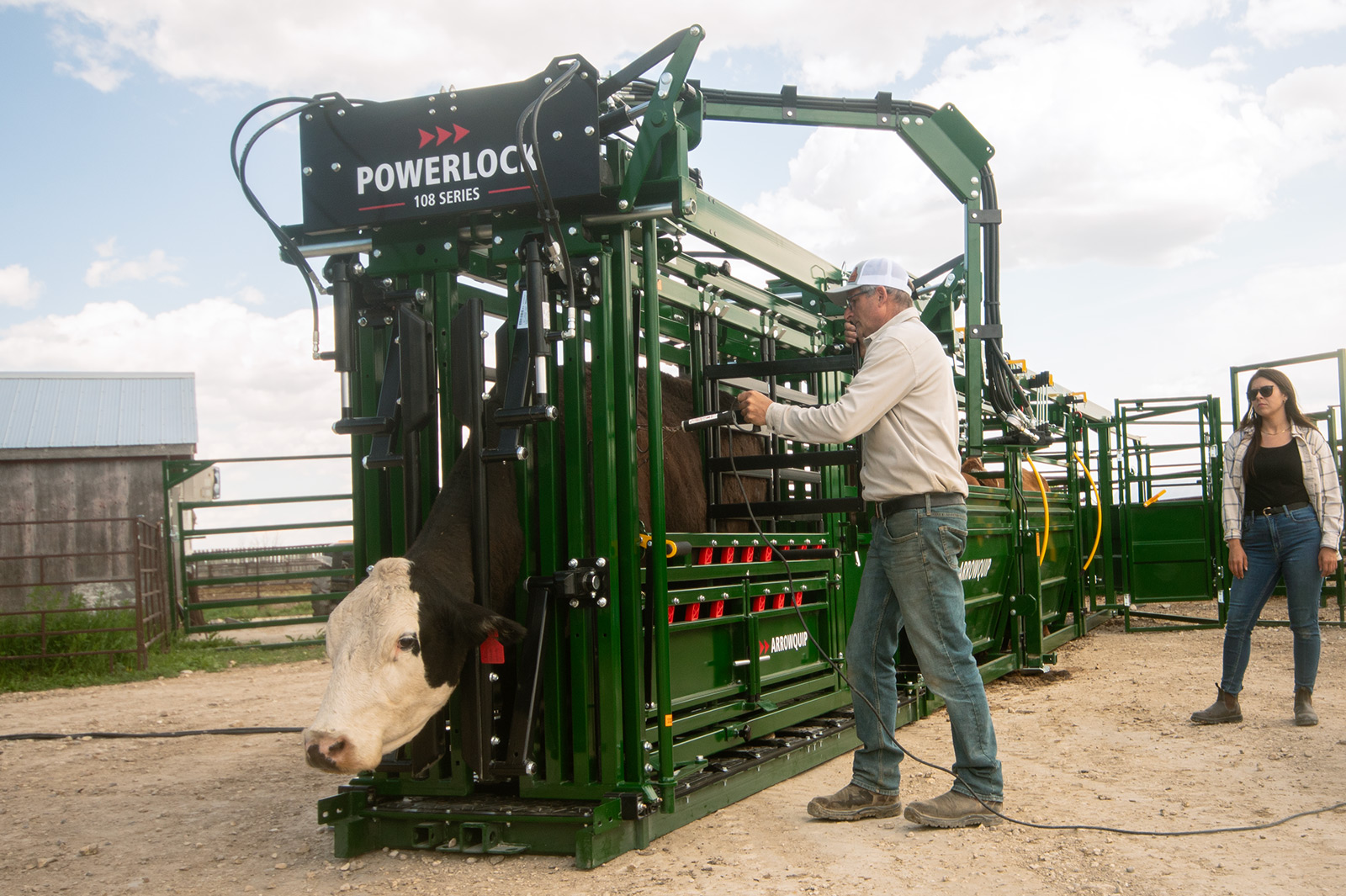 Rancher giving black cow injection through safe needle access area on Powerlock 108 hydraulic cattle chute