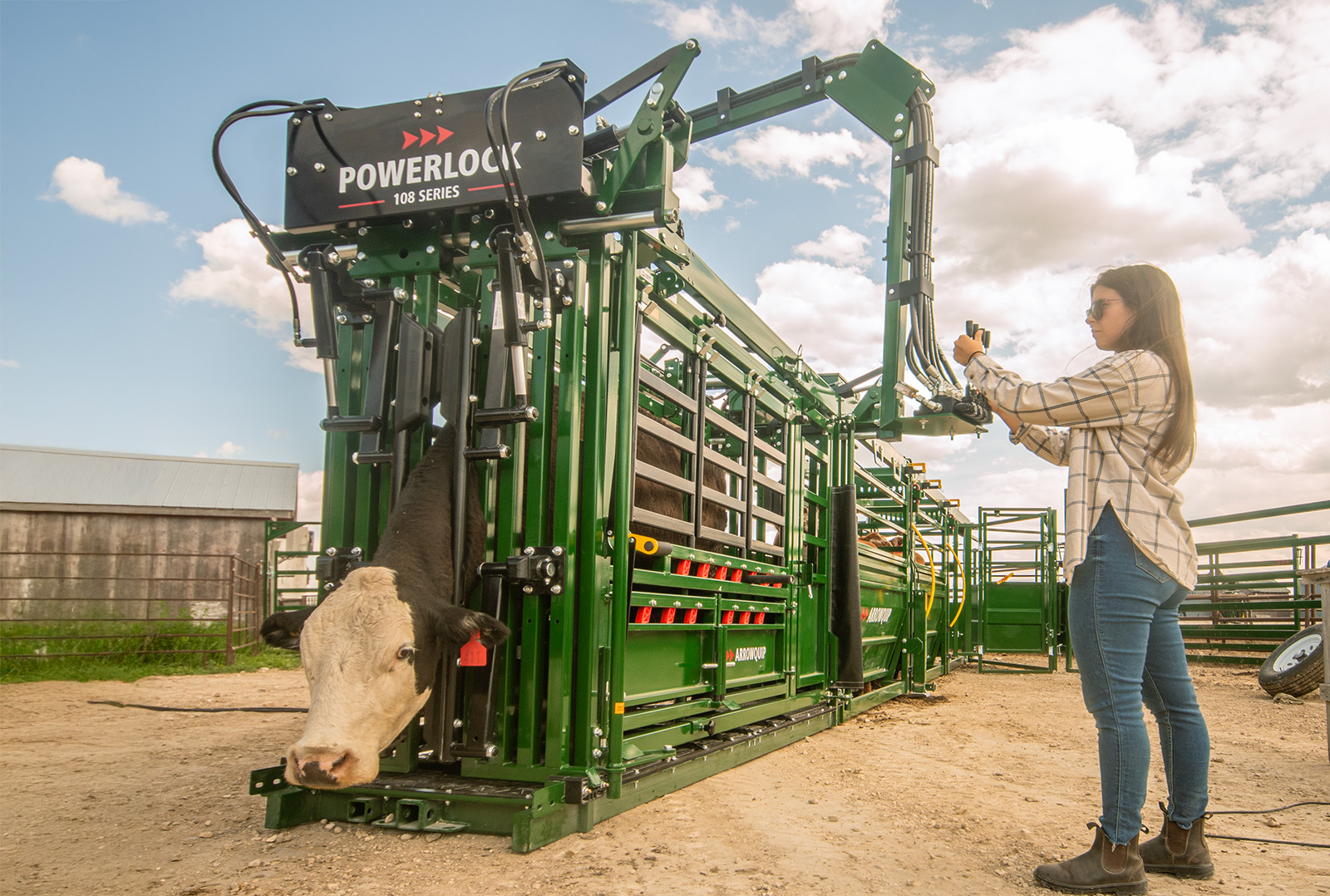 Woman rancher using hydraulic controls on pivoting arm to control Powerlock 108 hydraulic cattle chute with black cow