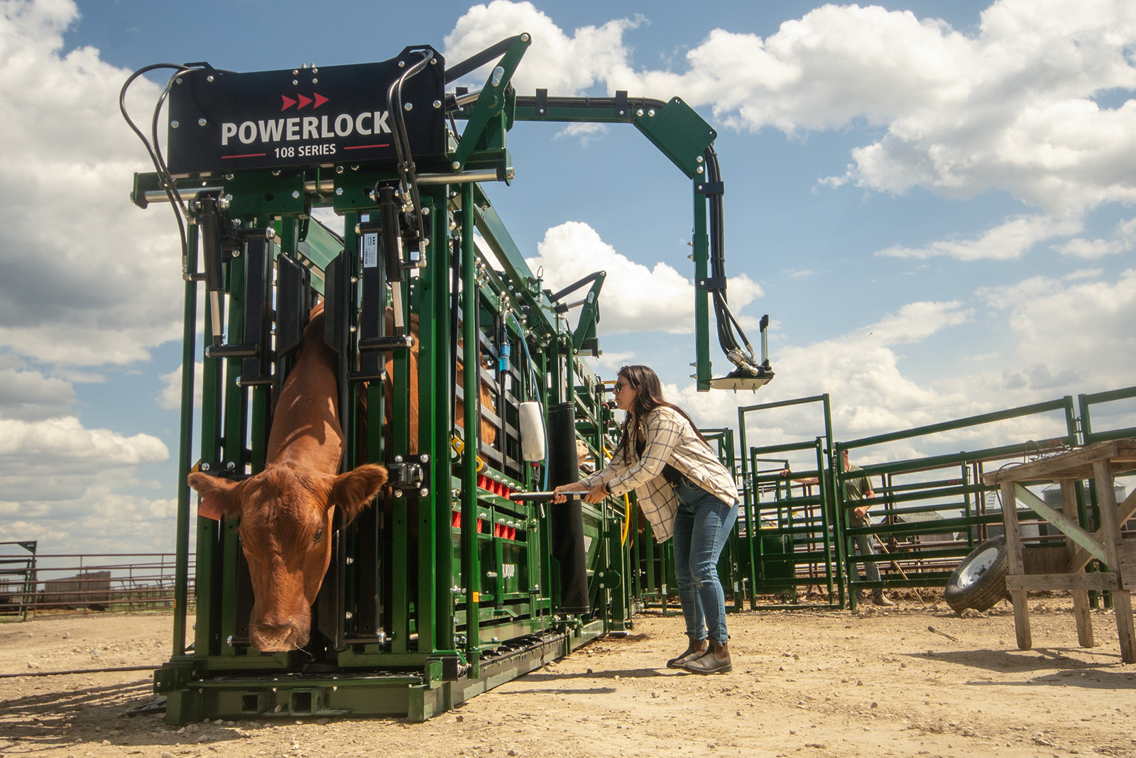 Woman rancher securing brown cow in Powerlock 108 hydraulic cattle chute with fibreglass rump bar