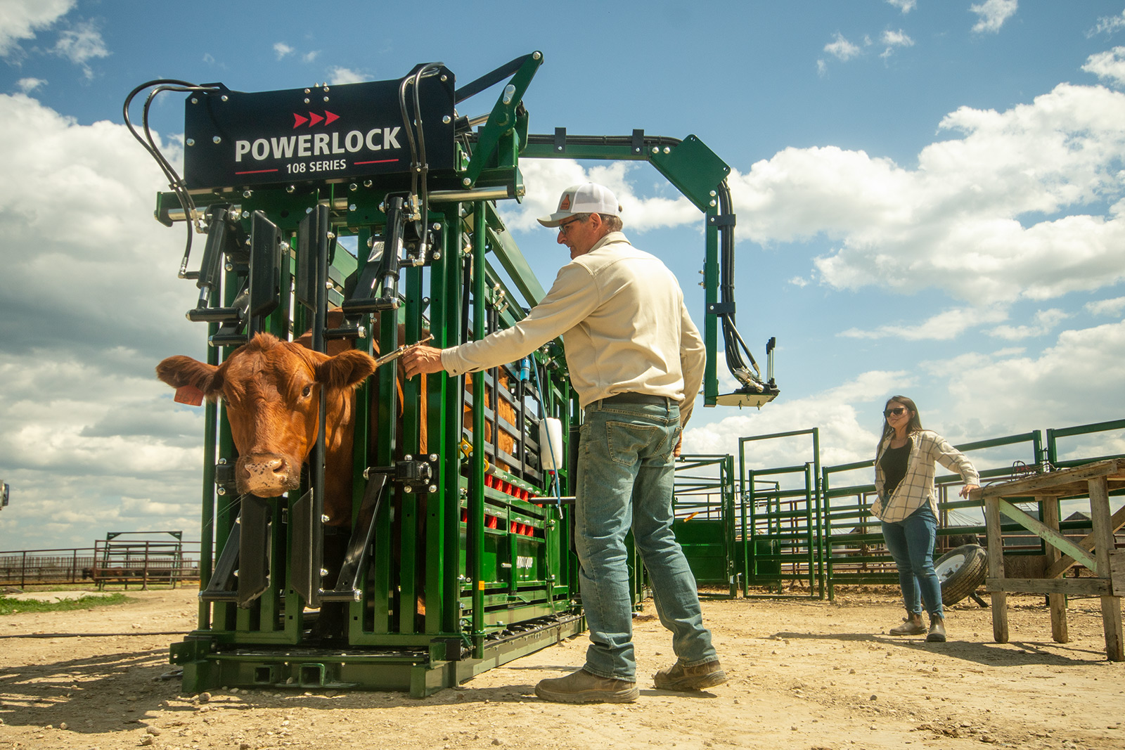 Rancher giving needle injection t brown cow safely secured in hydraulic neck extenders  on Powerlock 108 hydraulic squeeze chute