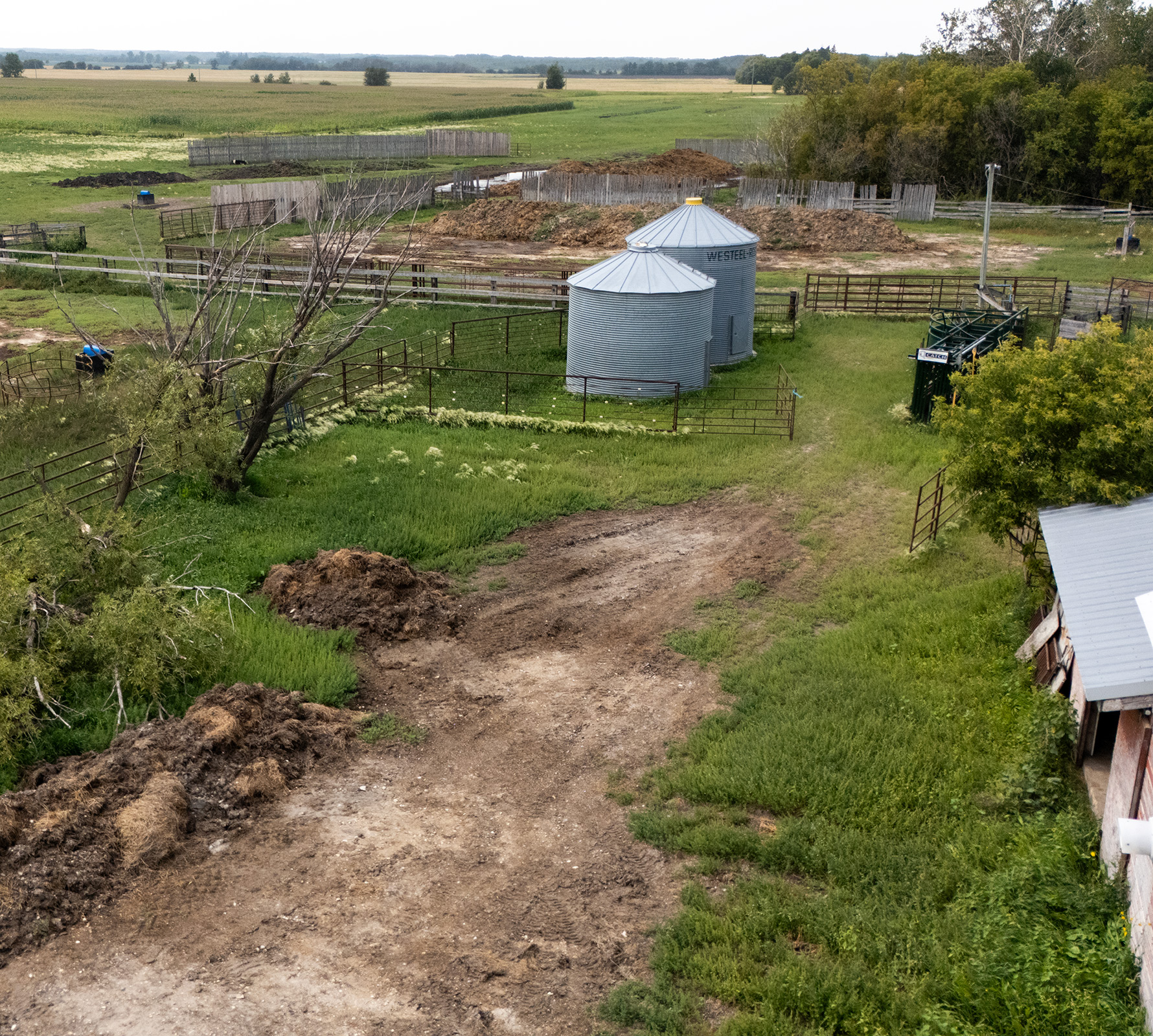 Starting point of a system with a bare yard