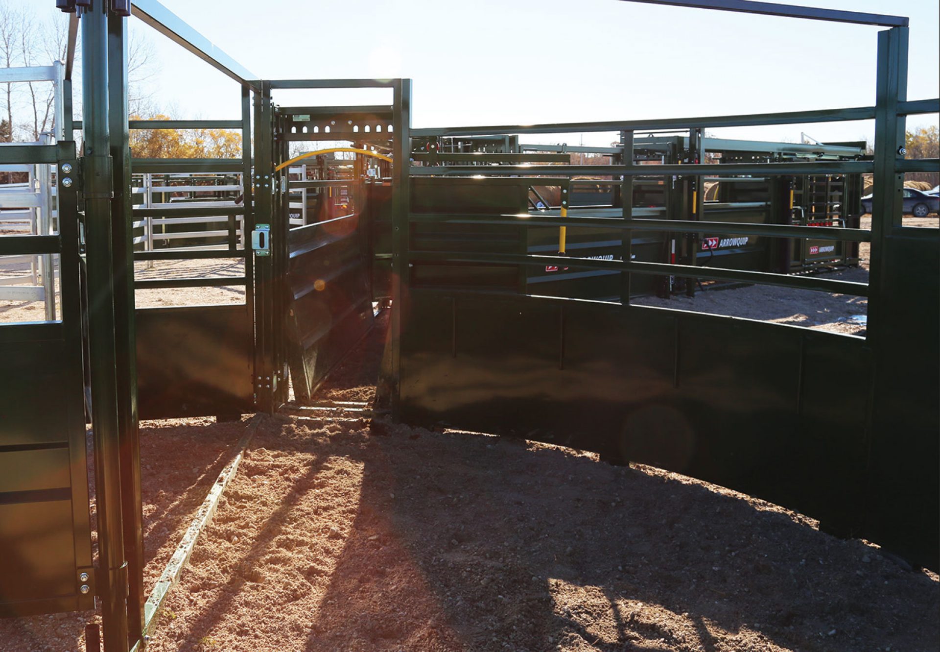 The 3E Cattle Handling System
