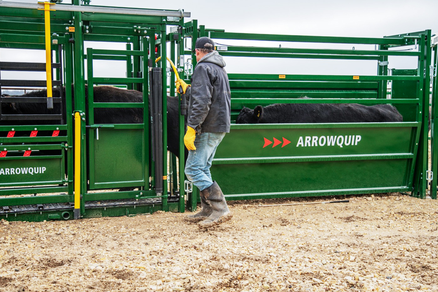 Controlling cattle flow between Easy Flow Pro Alleys and Cattle Chute