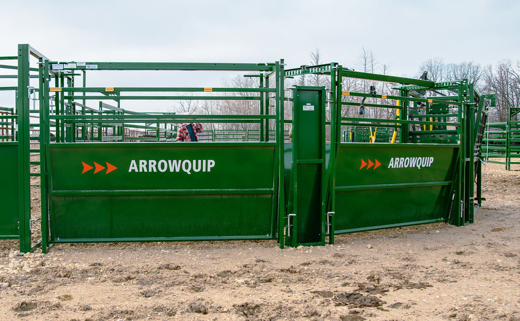 Easy Flow Pro Cattle Alleys set up within cattle working system