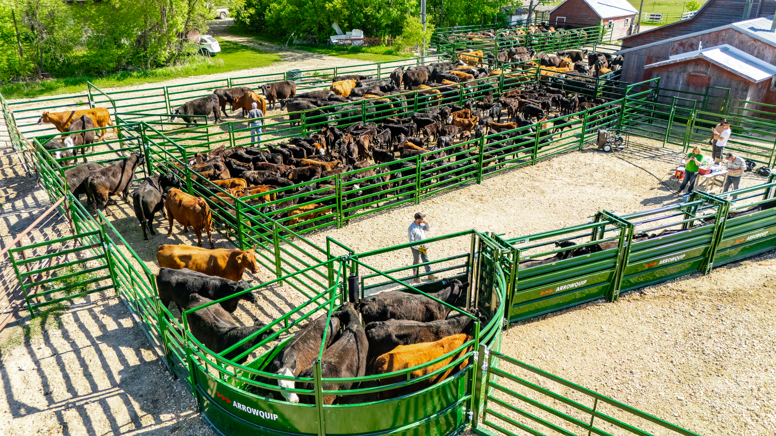 Cattle-free zone in full system set up with cattle
