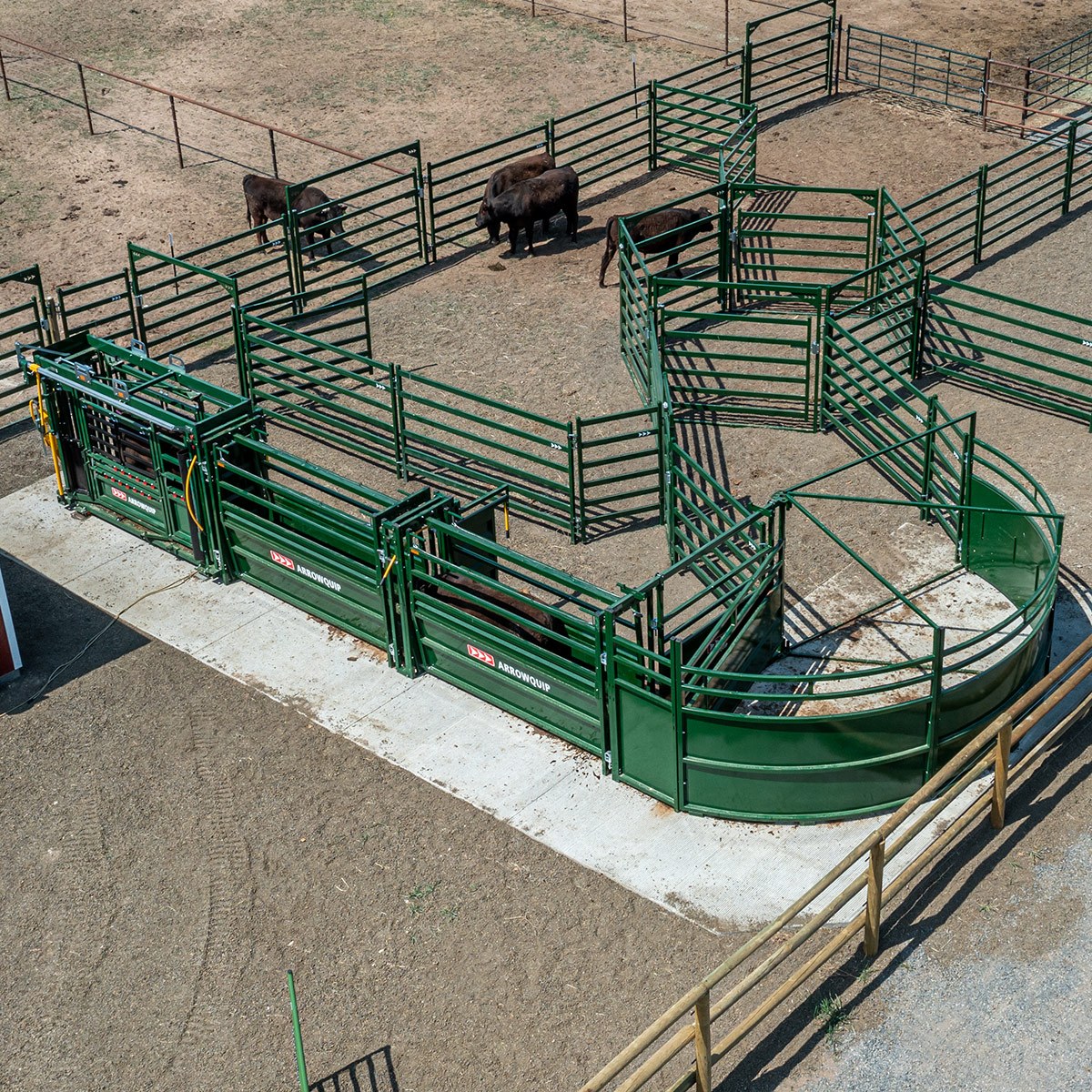 Small cattle handling system from above