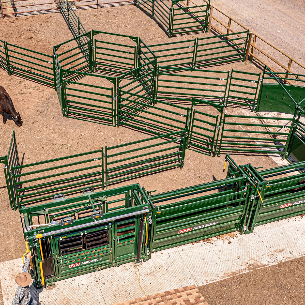 Overhead shot of cattle handing system in Oregon