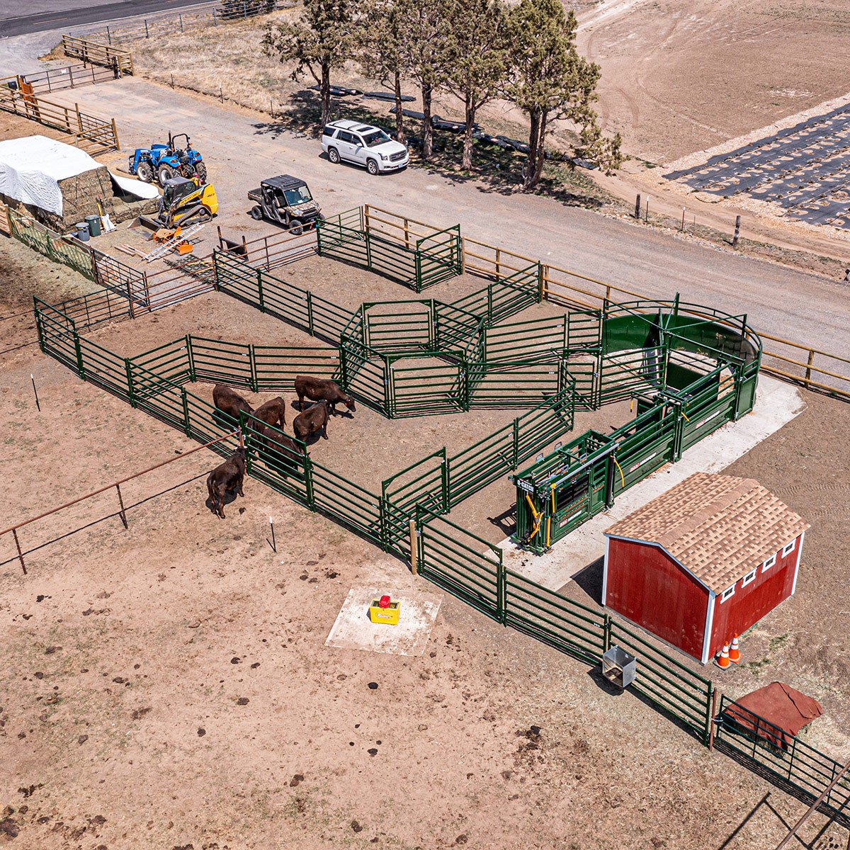 Full system from above for cattle