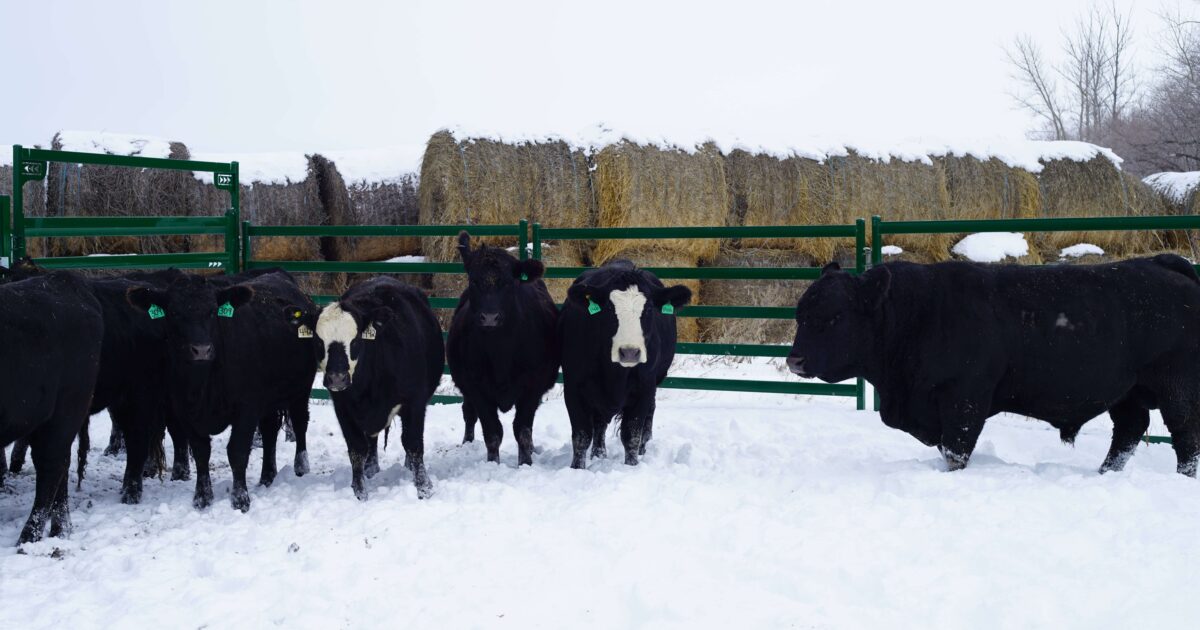Preparing the Ranch for the Winter Months