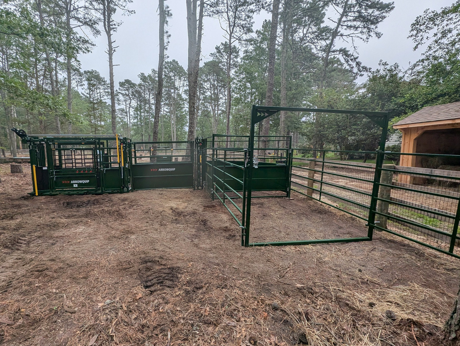 Starter system with open bow, quarter tub, alley and cattle chute, set up at a ranch ready in a wooded setting