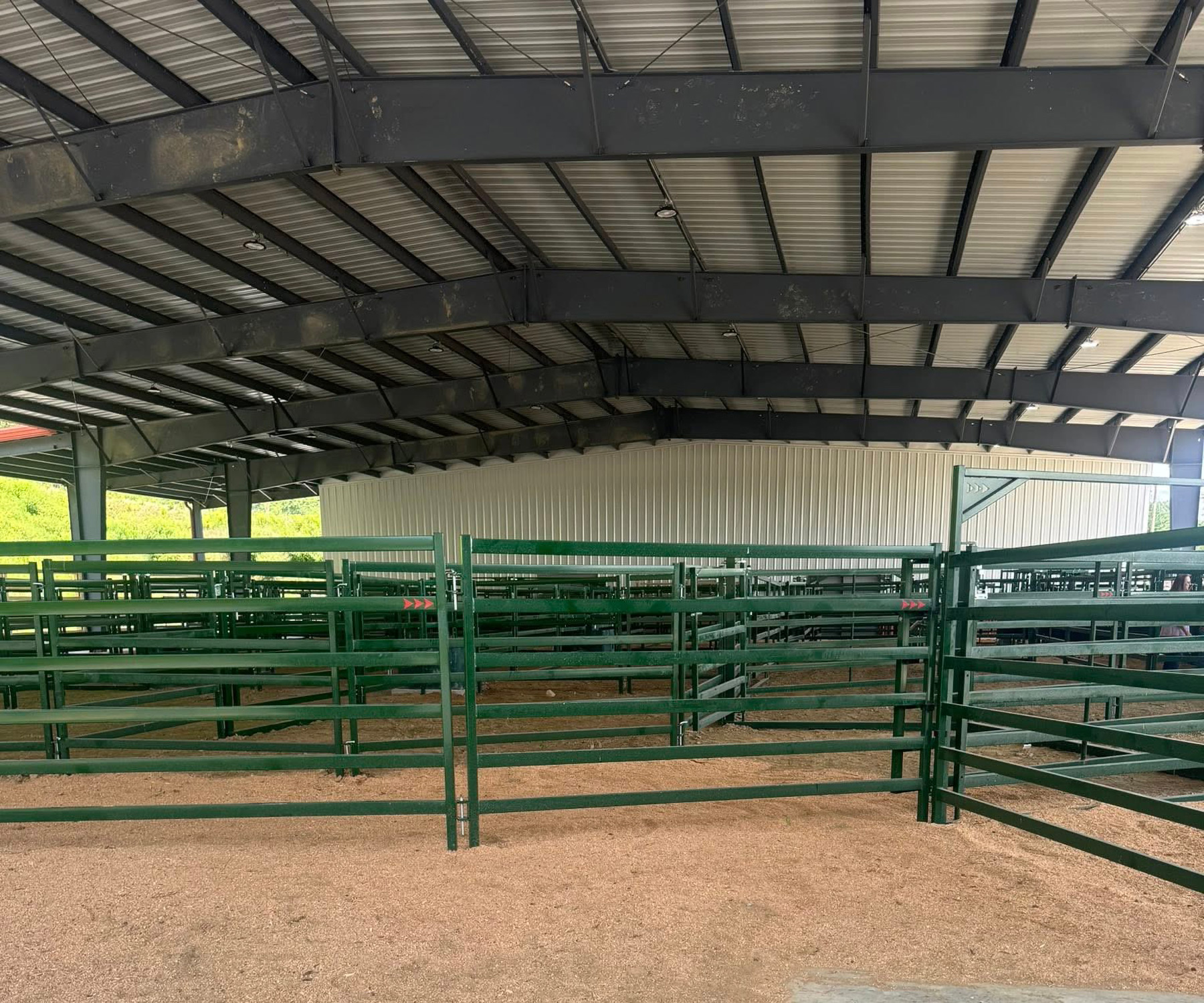 Close up view of Arrow cattle corral panels set up in cattle handling system in open air barn