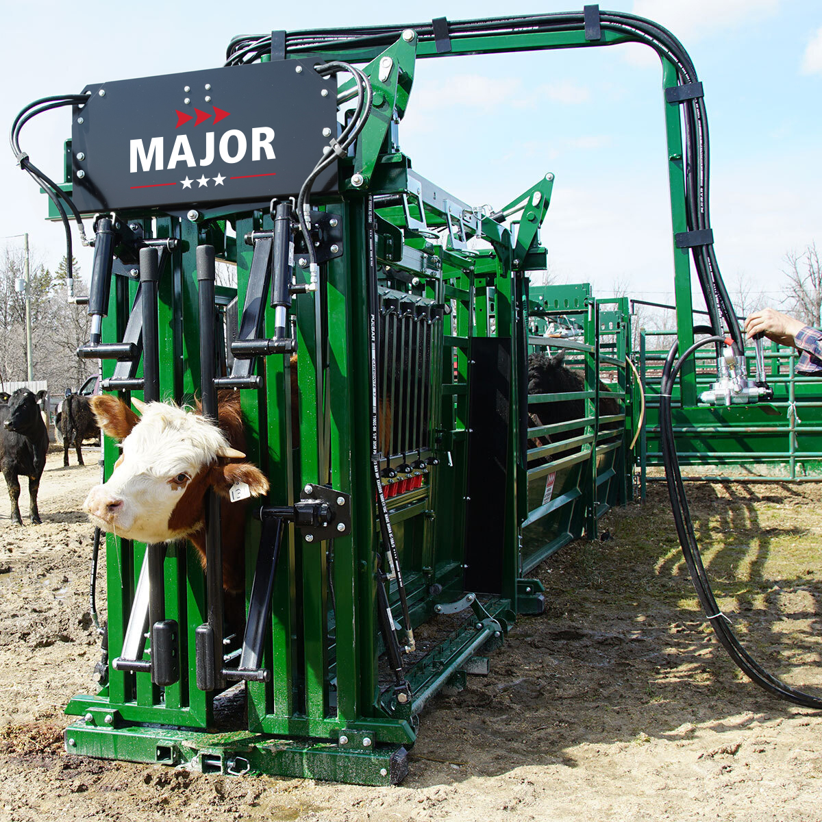 Rancher catches brown cow in The Major Heavy-Duty Hydraulic Squeeze Chute