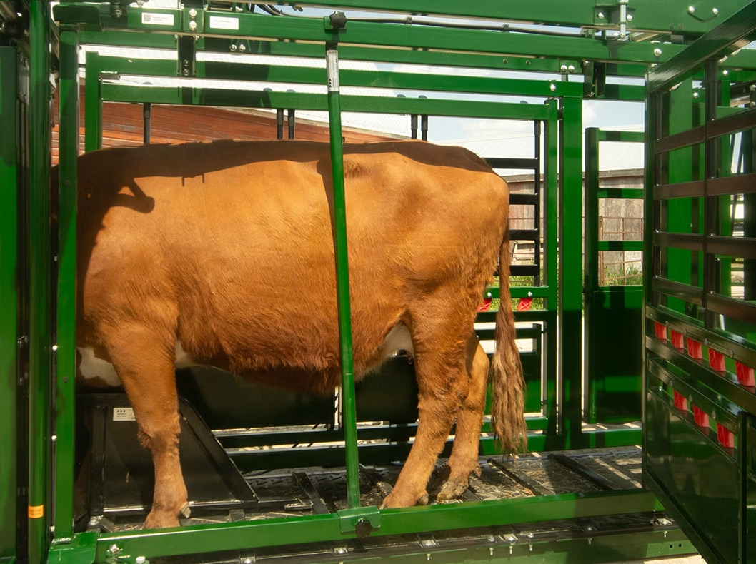 Calf Restrainer Bar for General