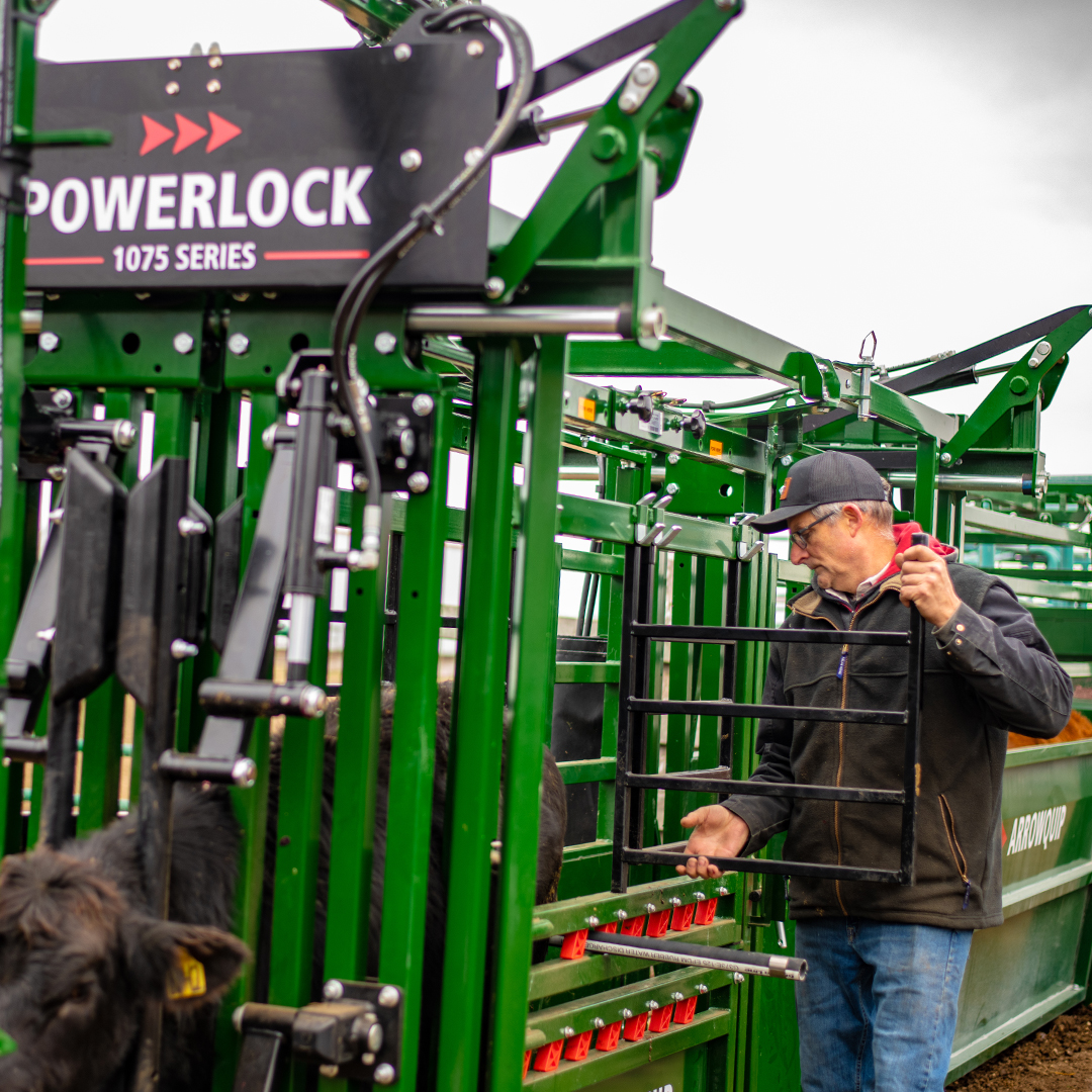 Silent Cattle Handling Redefined