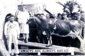Cows in Motion: The Sky Queen of 1930