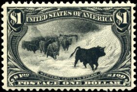 The Cattle Stamp-ede