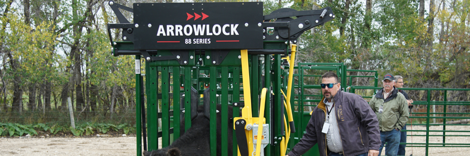 Arrowquip's Arrowlock 88 Series Cattle Chute front views with a cow inside