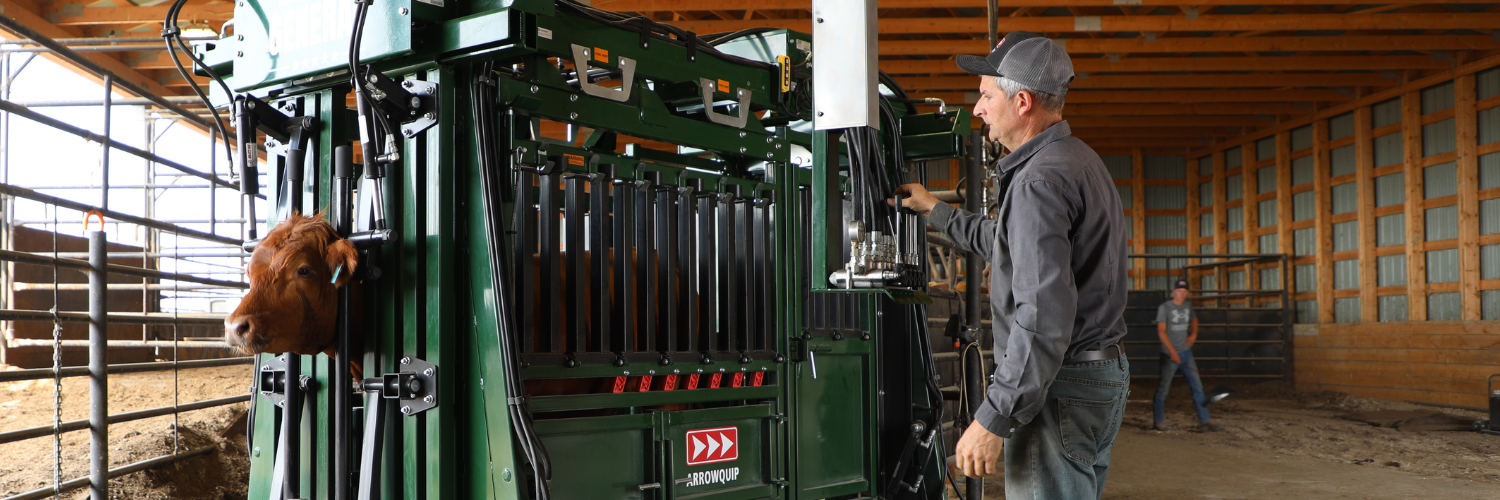 The General Hydraulic Feedlot Chute with Cattle Inside