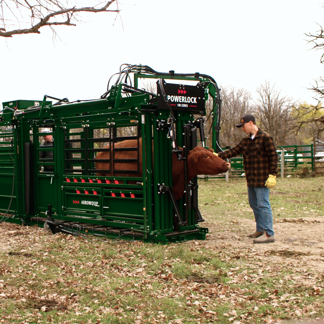 Arrowquip's Powerlock 108 Series hydraulic cattle chute with a cow in the headgate and a rancher standing in front of it