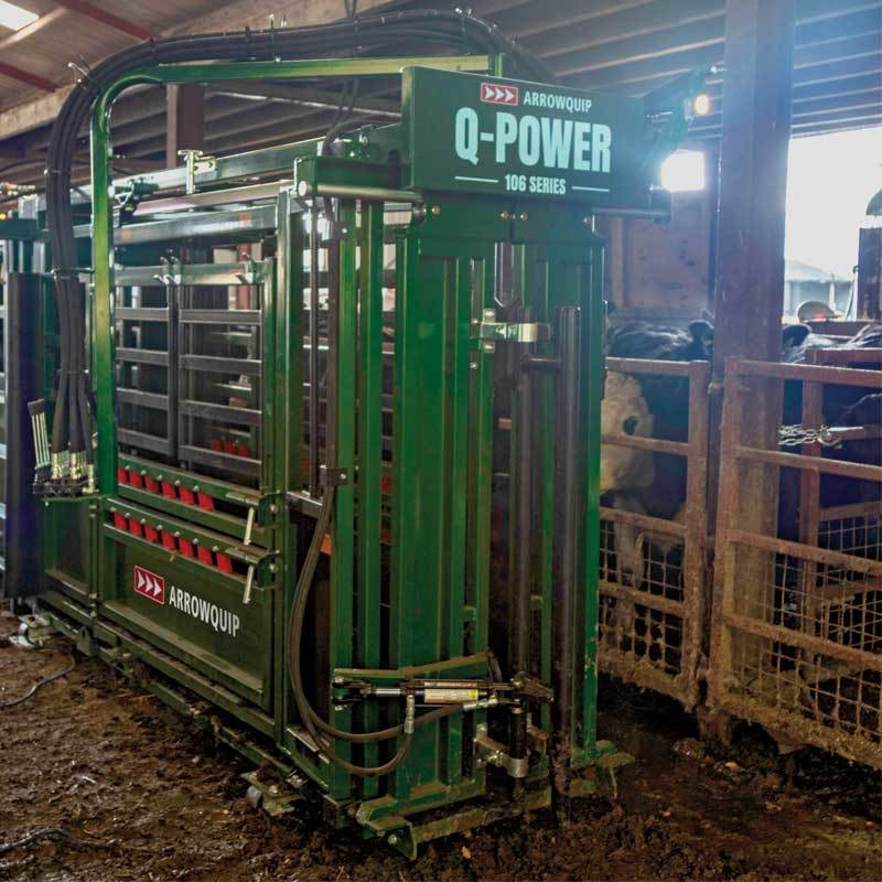 Hydraulic cattle chute in barn