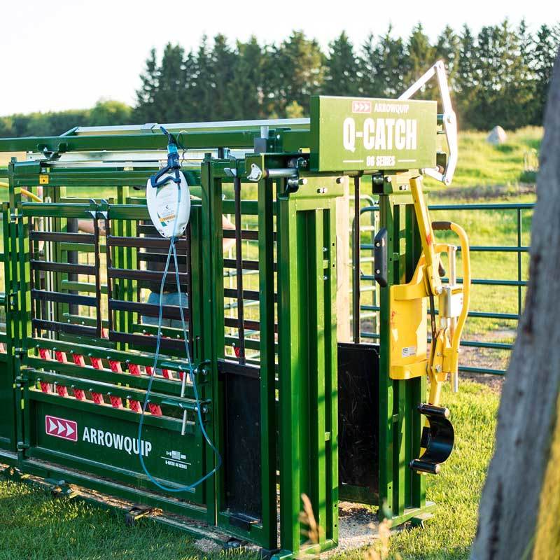 Q-Catch Cattle Chute with Head Holder
