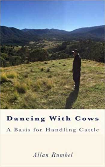 Dancing With Cows