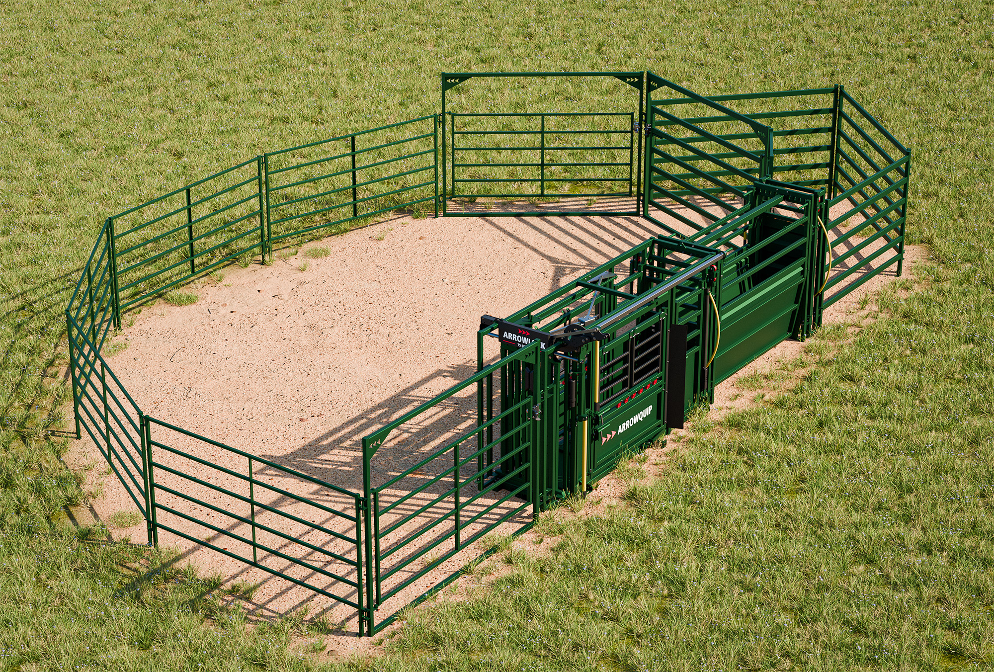 20-head starter cattle handling system