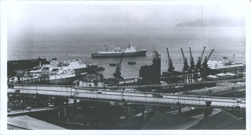 My favourite taonga | Kate Camp, Poet & Kaiwhakahaere Whakapā