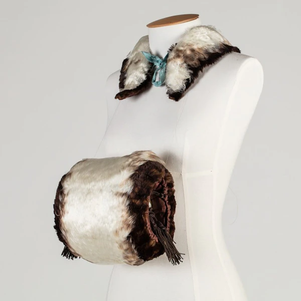 Story image: Feather finery