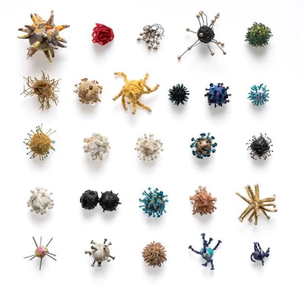 Story image: Contemporary collecting