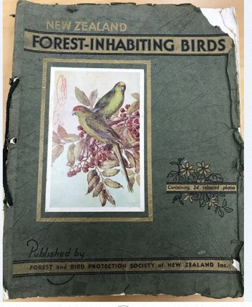 Story image: 100 years of Forest & Bird